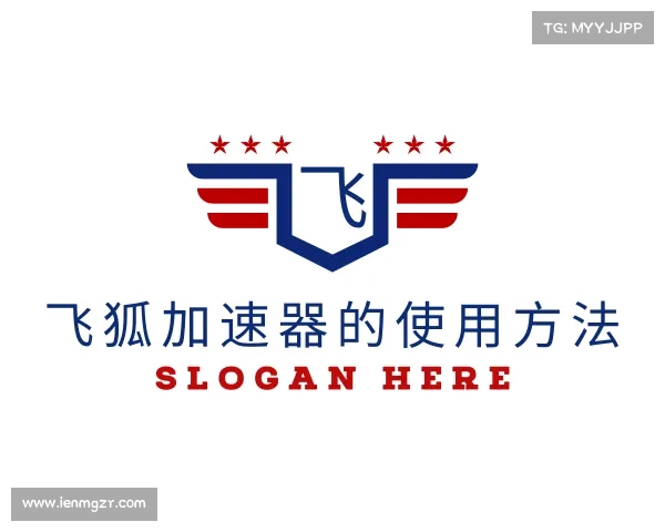 介绍飞狐加速器的使用方法